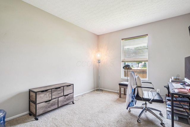 921 Harbinger Cir E, Columbus, OH 43213 - home office featuring carpet and a textured ceiling