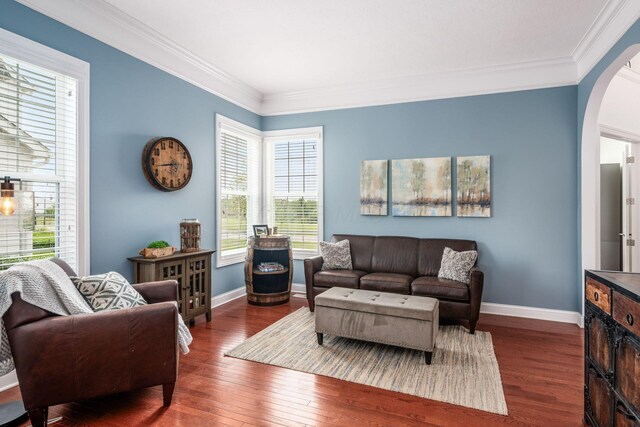7212 New Albany Links Dr, New Albany, OH 43054 - living room with arched walkways, ornamental molding, wood finished floors, and plenty of natural light