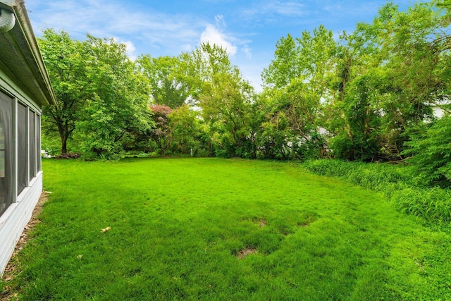893 Singing Hills Ln, Columbus, OH 43235 - view of green lawn