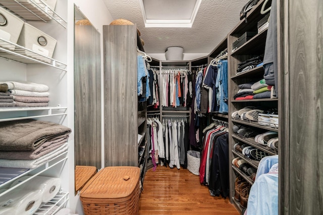 8918 Filiz Ln, Powell, OH 43065 - walk in closet with wood finished floors and attic access