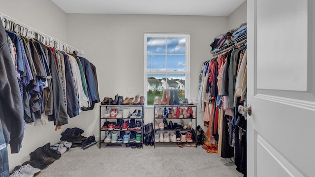 8145 Rhoderick Cir, Reynoldsburg, OH 43068 - spacious closet with carpet flooring