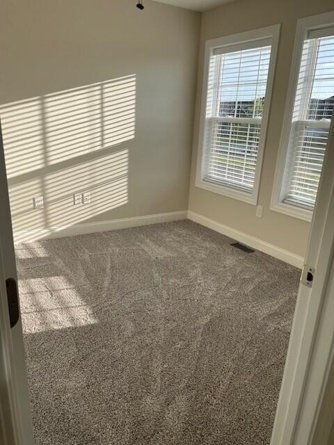 332 Bottecchia Blvd, Johnstown, OH 43031 - spare room with baseboards and carpet flooring