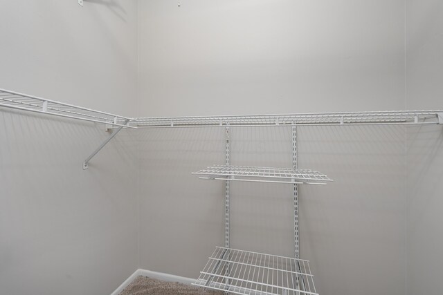 2268 Worthingwoods Blvd, Powell, OH 43065 - view of spacious closet