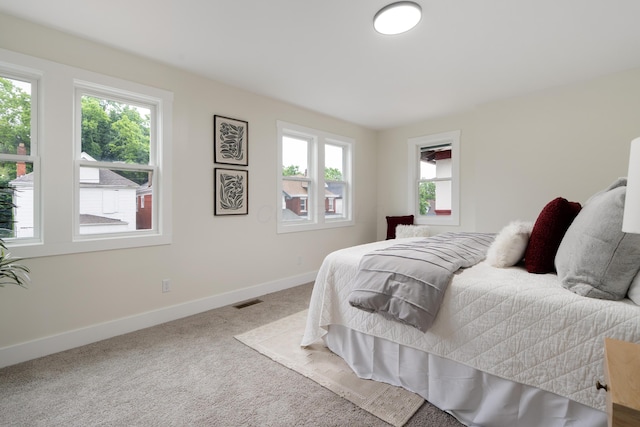 1591 Franklin Ave, Columbus, OH 43205 - bedroom featuring multiple windows and carpet flooring