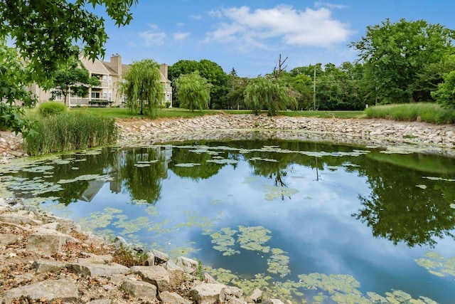 3381 Fishinger Mill Dr, Hilliard, OH 43026 - water view