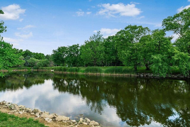 3381 Fishinger Mill Dr, Hilliard, OH 43026 - water view with a heavily wooded area