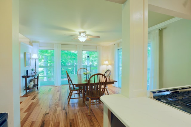 120 Hickory Ln, Lancaster, OH 43130 - dining area featuring ceiling fan, light wood-style floors, and ornamental molding