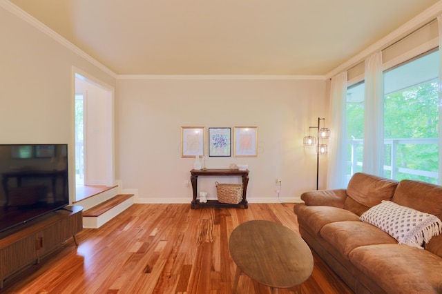 120 Hickory Ln, Lancaster, OH 43130 - living area featuring ornamental molding and light wood-type flooring