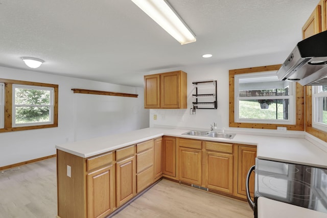 6228 Patton Rd NE, Newark, OH 43055 - kitchen with stainless steel electric stove, exhaust hood, light wood-style flooring, a peninsula, and light countertops