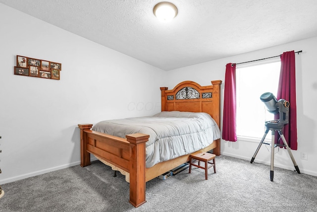 562 Bowman Ln, Chillicothe, OH 45601 - bedroom featuring carpet flooring and a textured ceiling