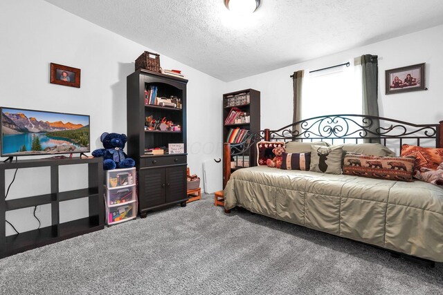 562 Bowman Ln, Chillicothe, OH 45601 - carpeted bedroom with a textured ceiling