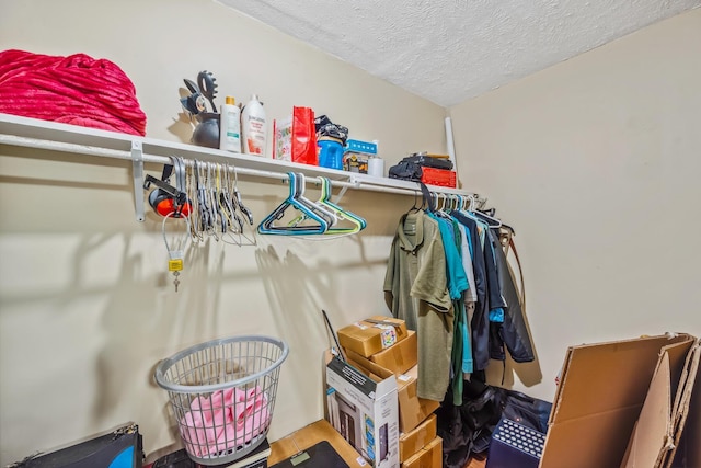 247 3rd St, La Rue, OH 43332 - view of spacious closet