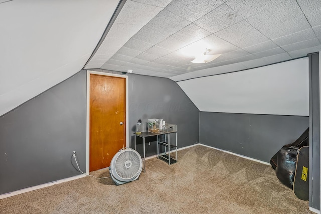 247 3rd St, La Rue, OH 43332 - additional living space featuring carpet floors and lofted ceiling