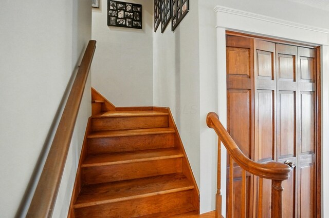 8384 Morris Rd, Hilliard, OH 43026 - view of stairs
