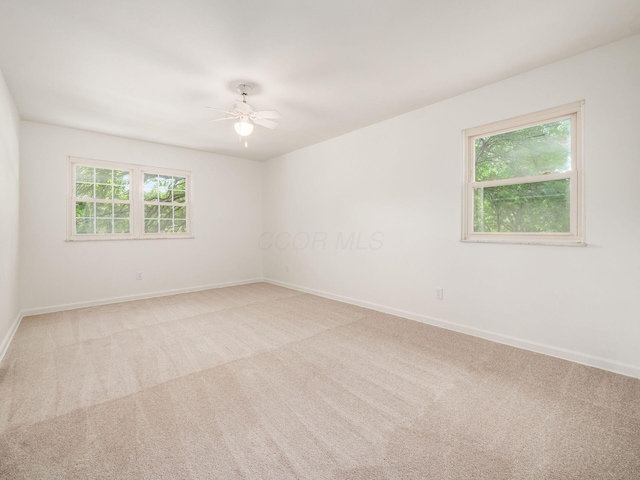 6509 Evening St, Worthington, OH 43085 - empty room featuring carpet floors, a ceiling fan, and healthy amount of natural light