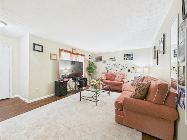 6343 Birchview Dr S Unit 6343-6345, Reynoldsburg, OH 43068 - living room with wood finished floors and a textured ceiling