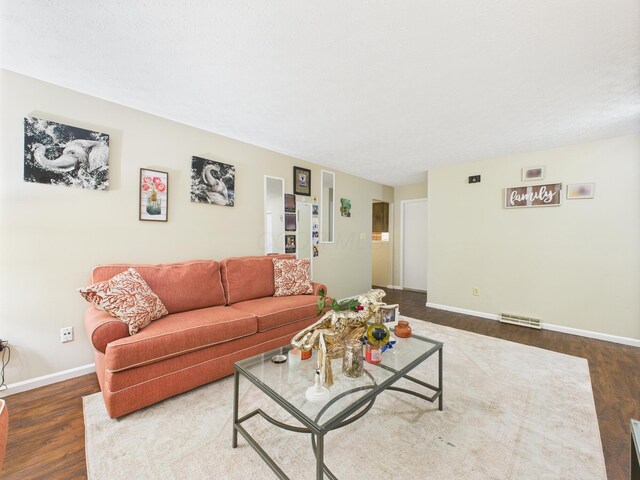 6343 Birchview Dr S Unit 6343-6345, Reynoldsburg, OH 43068 - living room with wood finished floors