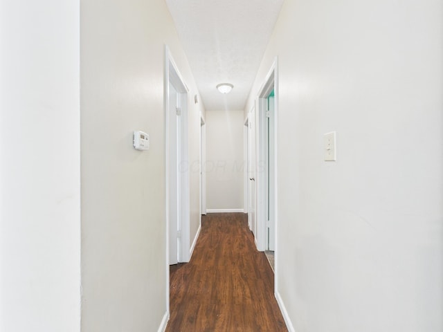 6343 Birchview Dr S Unit 6343-6345, Reynoldsburg, OH 43068 - hall featuring baseboards and dark wood-style flooring