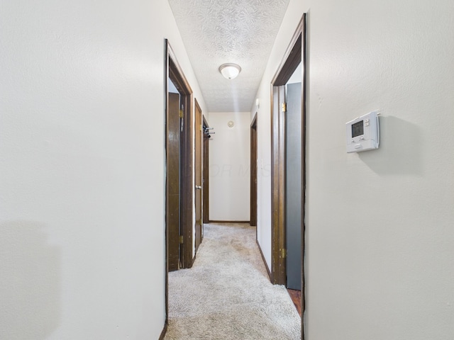 6343 Birchview Dr S Unit 6343-6345, Reynoldsburg, OH 43068 - hall featuring carpet flooring and a textured ceiling