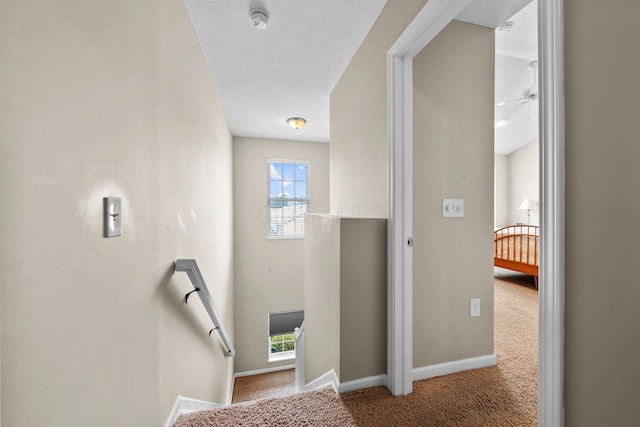 8438 Diversey Loop Unit 504, Blacklick, OH 43004 - stairs featuring carpet floors and baseboards