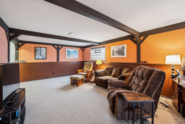 4750 Manitoba Ct, Columbus, OH 43229 - living area featuring beam ceiling, a textured ceiling, carpet, and wainscoting