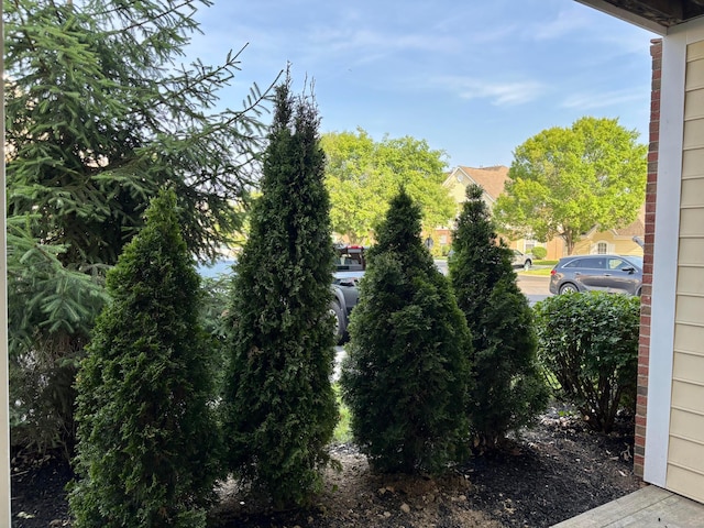 3839 Carberry Dr, Dublin, OH 43016 - view of yard