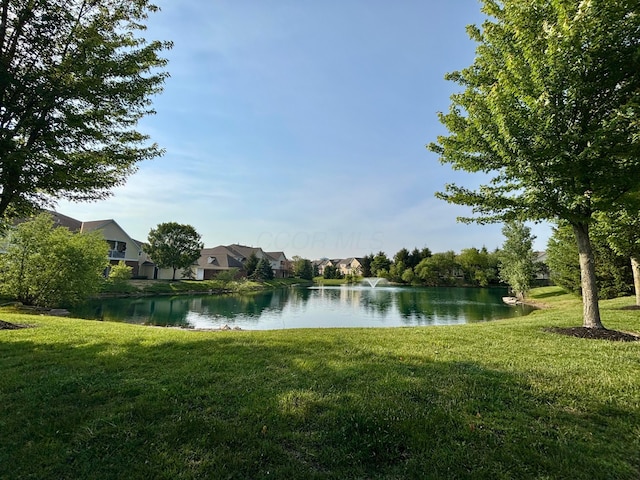 3839 Carberry Dr, Dublin, OH 43016 - water view