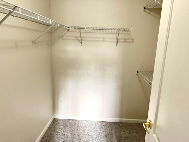 8061 Cranes Crossing Dr, Lewis Center, OH 43035 - view of spacious closet