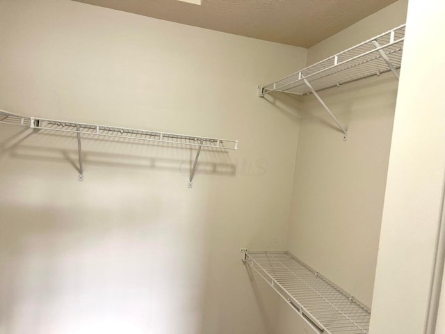 8061 Cranes Crossing Dr, Lewis Center, OH 43035 - view of walk in closet