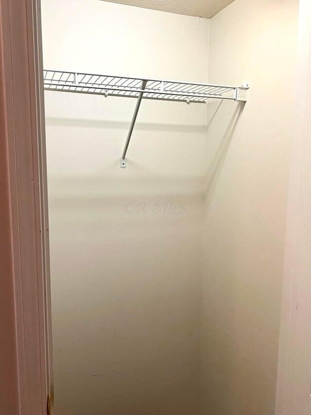 8061 Cranes Crossing Dr, Lewis Center, OH 43035 - view of closet