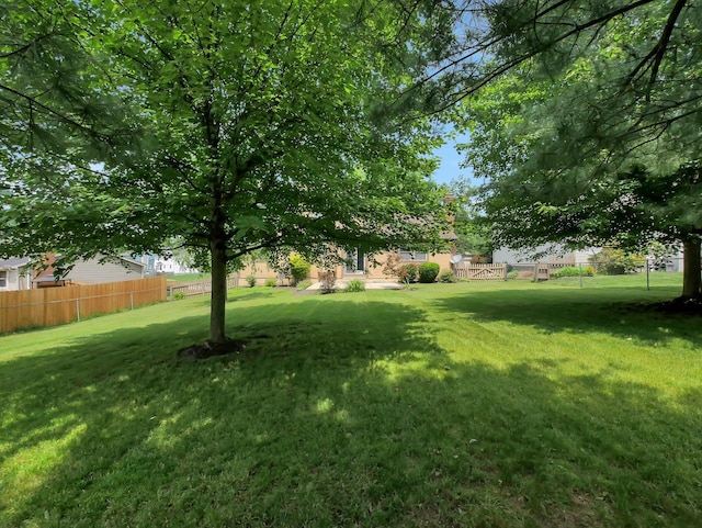 1380 Hanbury Ct, Gahanna, OH 43230 - view of yard