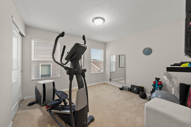 5431 Goose Falls Dr, Dublin, OH 43016 - exercise room featuring carpet and a textured ceiling
