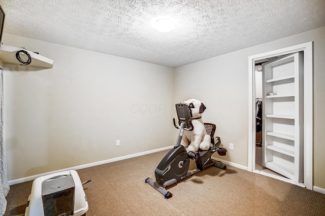 2474 Marthas Wood, Grove City, OH 43123 - workout area featuring carpet and a textured ceiling