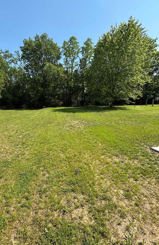 810 S St S, Greenfield, OH 45123 - photo 8