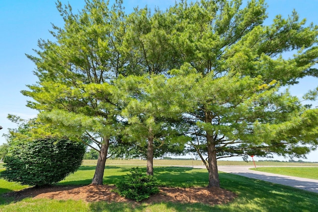 12475 Oak Dr, Orient, OH 43146 - view of green lawn