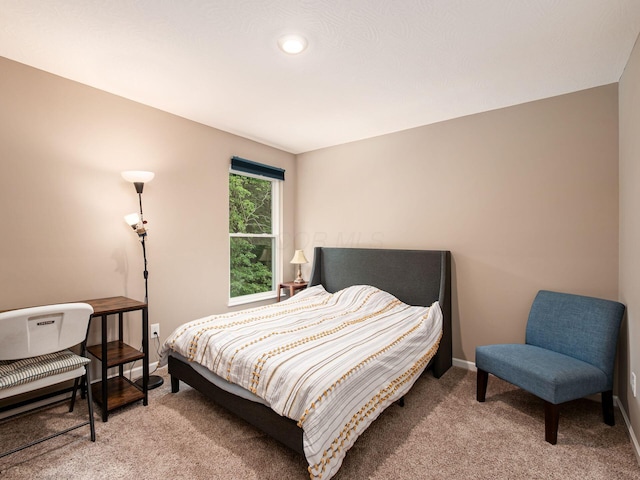 404 Colony Ridge Dr, Delaware, OH 43015 - carpeted bedroom with baseboards