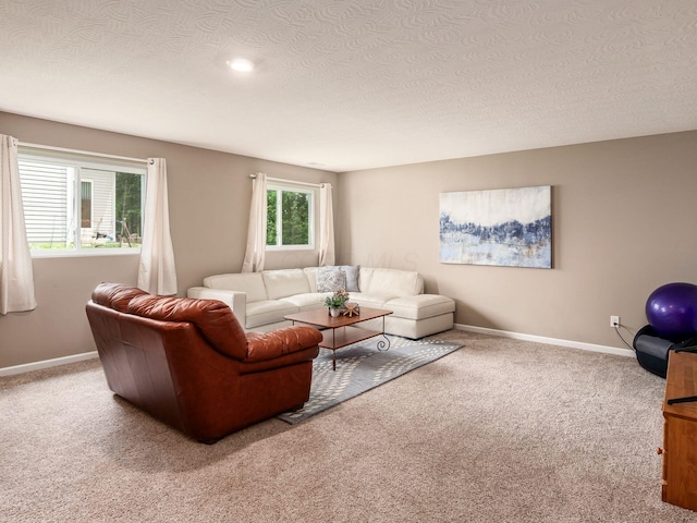 404 Colony Ridge Dr, Delaware, OH 43015 - carpeted living room with baseboards and a textured ceiling