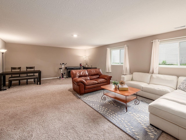 404 Colony Ridge Dr, Delaware, OH 43015 - carpeted living room with a textured ceiling