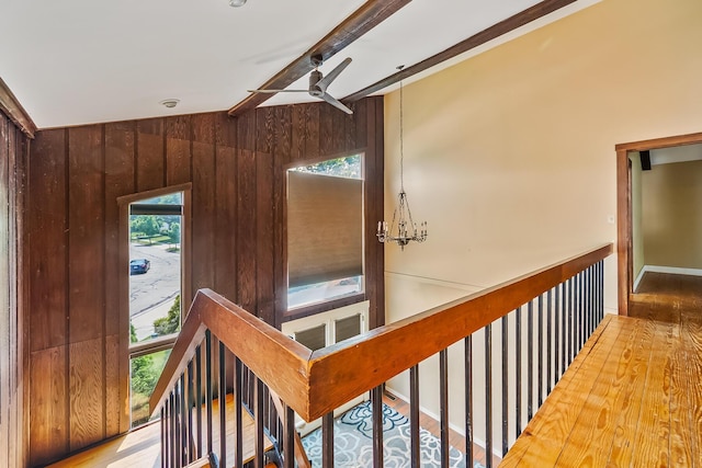 933 Creek Run Ct, Westerville, OH 43081 - hall featuring plenty of natural light, an upstairs landing, wooden walls, and a chandelier