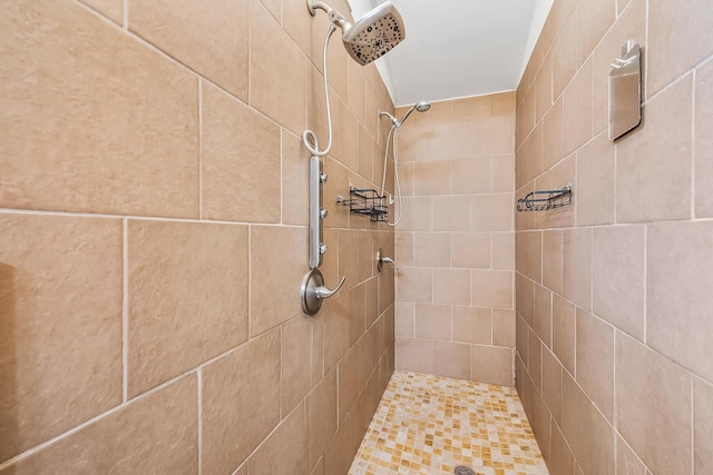 933 Creek Run Ct, Westerville, OH 43081 - bathroom with tiled shower and pet washing station
