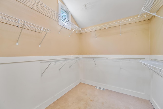 933 Creek Run Ct, Westerville, OH 43081 - walk in closet with light colored carpet