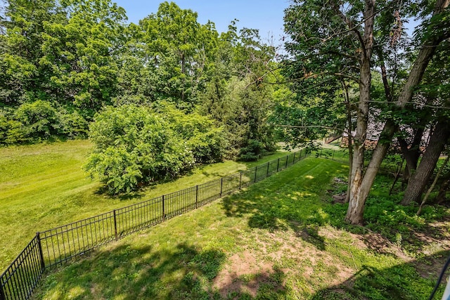 933 Creek Run Ct, Westerville, OH 43081 - view of yard