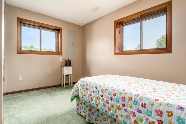 5795 Royalton Rd SW, Lancaster, OH 43130 - carpeted bedroom featuring electric panel and multiple windows