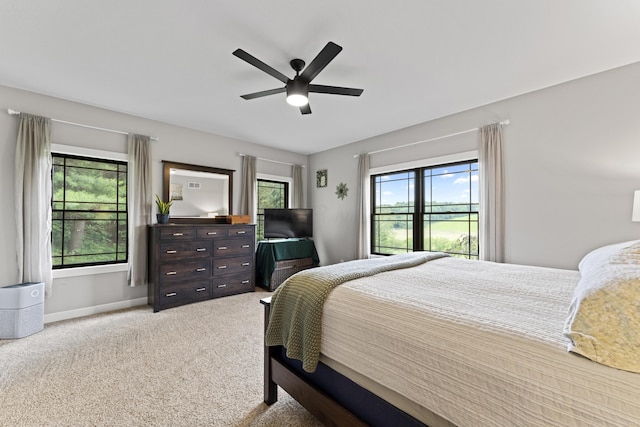 19694 State Route 60, Warsaw, OH 43844 - bedroom with carpet and a ceiling fan