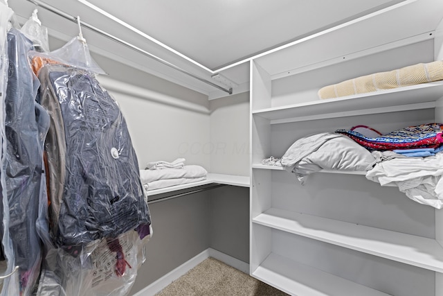 19694 State Route 60, Warsaw, OH 43844 - spacious closet with carpet flooring