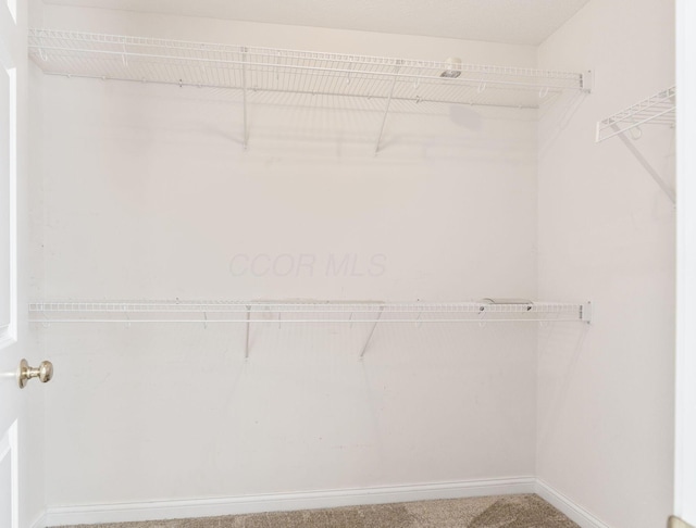 3984 Hill Park Rd, Hilliard, OH 43026 - walk in closet featuring carpet floors