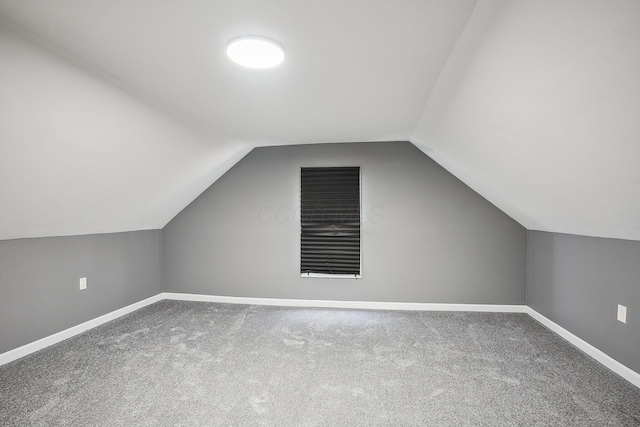 5505 Hopewell Church Rd SW, Lancaster, OH 43130 - additional living space with carpet flooring and vaulted ceiling