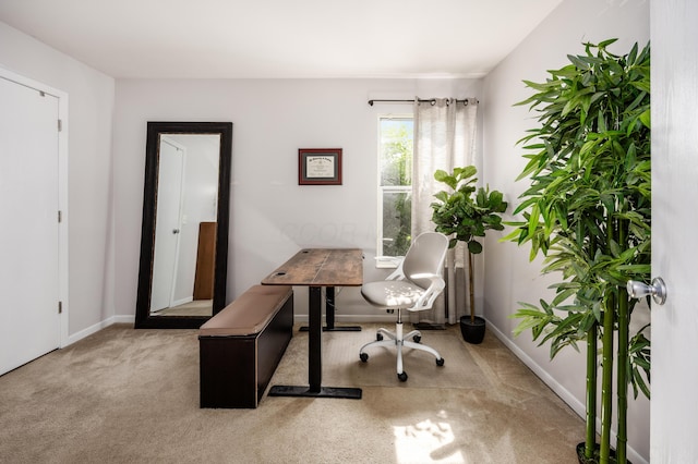 3776 Secretariat Ct, Columbus, OH 43221 - carpeted office space with baseboards