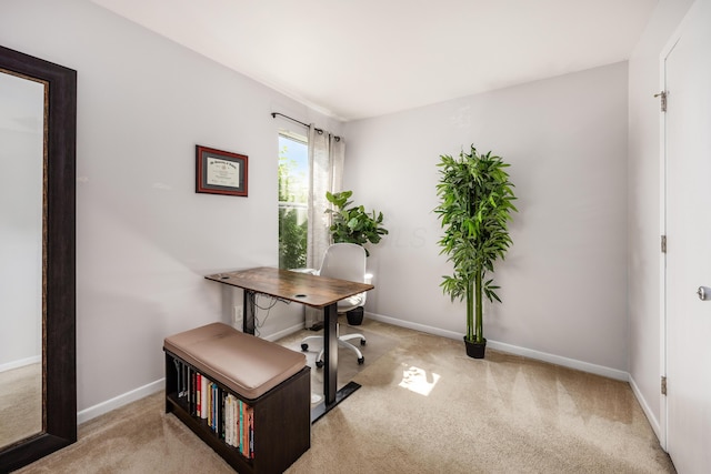 3776 Secretariat Ct, Columbus, OH 43221 - office area featuring carpet floors and baseboards