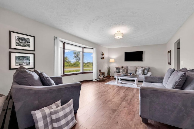 13283 Clover Valley Rd, Croton, OH 43013 - living room featuring a textured ceiling and wood finished floors